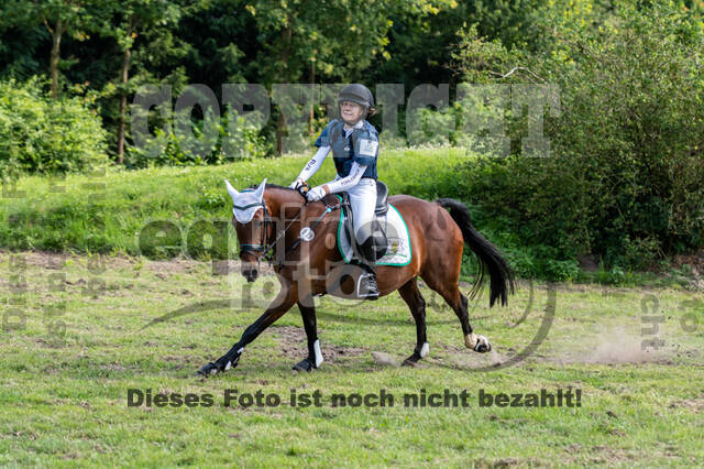 Goldene Schärpe 2021 - Ponys