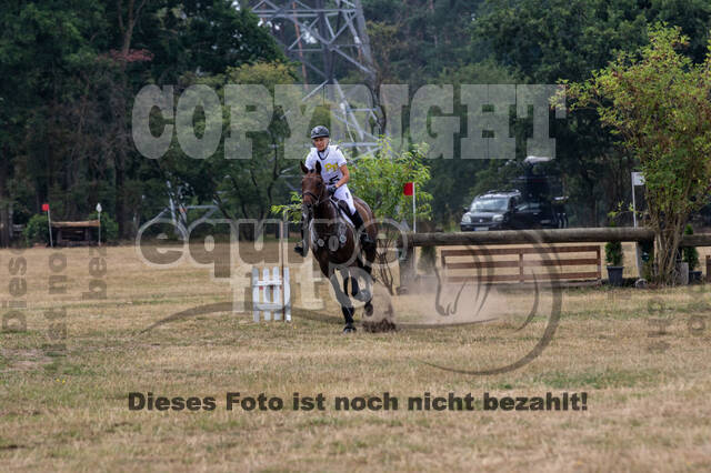 Late-Entry Vielseitigkeit Hamminkeln/Wesel (01.+02.08.2020)