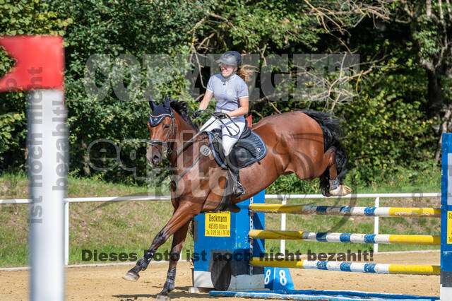RFV Dinslaken-Hiesfeld (Herbstturnier)