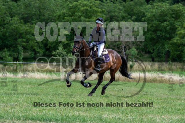 Bonn-Rodderberg Late-Entry-Vielseitigkeit (30.06.2020)