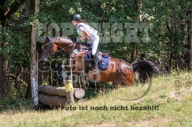 Late-Entry Vielseitigkeit Hamminkeln/Wesel (01.+02.08.2020)