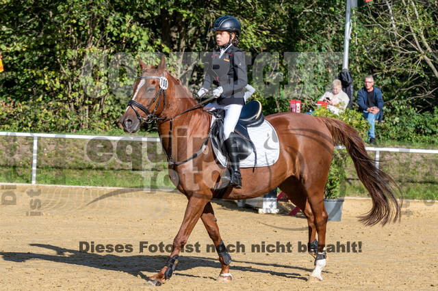 RFV Dinslaken-Hiesfeld (Herbstturnier)