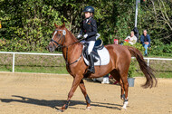 RFV Dinslaken-Hiesfeld (Herbstturnier)