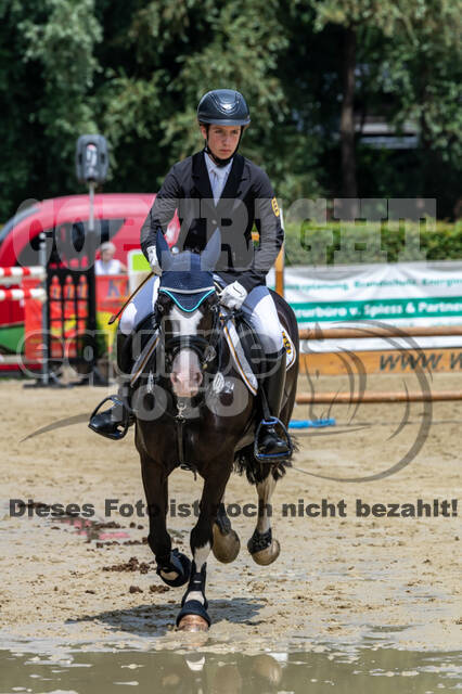 Goldene Schärpe 2021 - Ponys