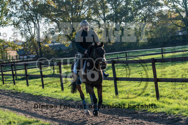 Vielseitigkeitslehrgang mit Jürg Kurbel (9.+10.11.2019)