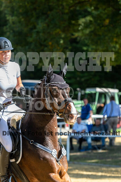 RFV Dinslaken-Hiesfeld (Herbstturnier)