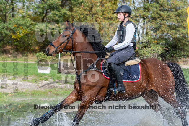 IGV Lehrgang der Sieger der Cups mit Frank Ostholt