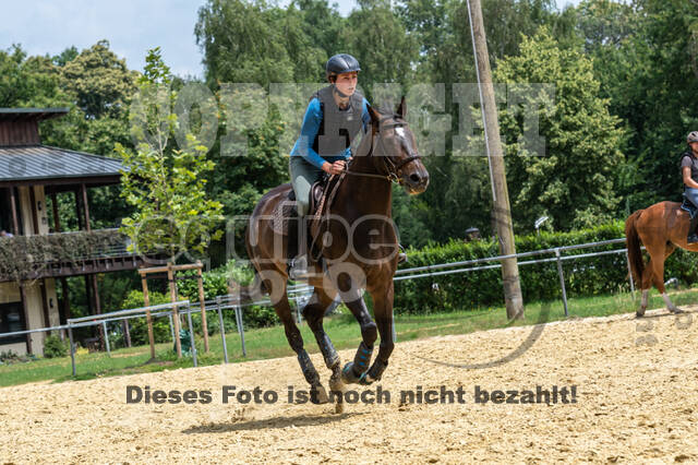 Hunter Geländetraining 10.07.2021 (Sonsbeck)