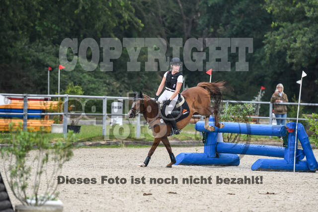 Late-Entry-Vielseitigkeit Langenfeld (11.+13./14.06.2020)