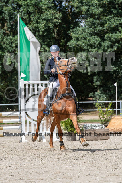 Landesturnier Rheinland, Vielseitigkeit, 22.+23.08.2020