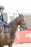 FEI European Championship