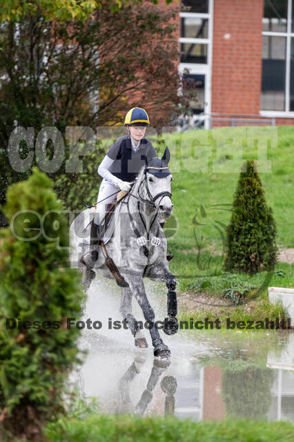 Goldene Schärpe 2020 - Pferde