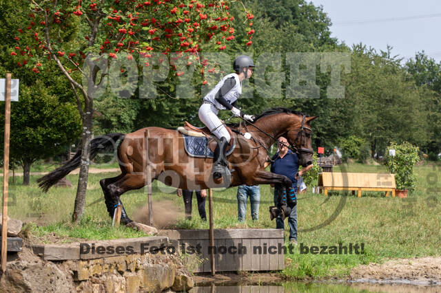 Late-Entry-Vielseitigkeit Gahlen (18.07.2020)