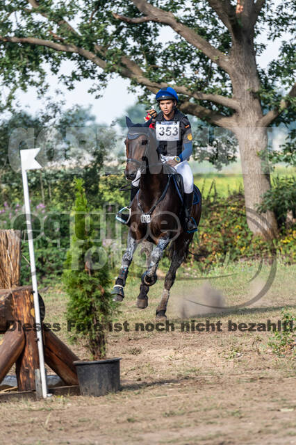 De Peelbergen (August 2020)