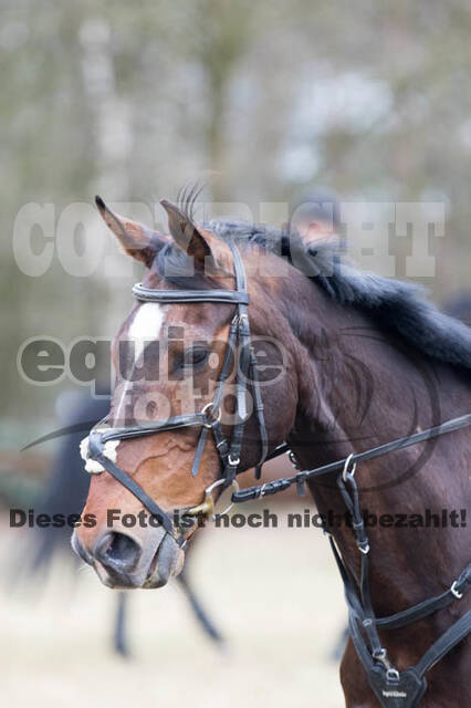 Geländetraining RSV St. Hubertus Wesel Obrighoven