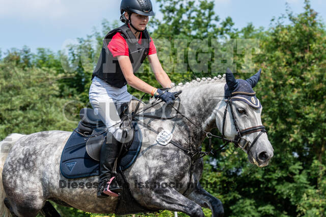 Goldene Schärpe 2021 - Ponys