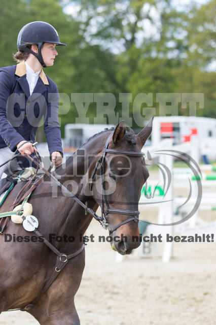 Sterne über Münster 2019 - CCI***S