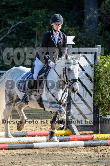 RFV Dinslaken-Hiesfeld (Herbstturnier)
