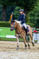 Goldene Schärpe 2021 - Ponys