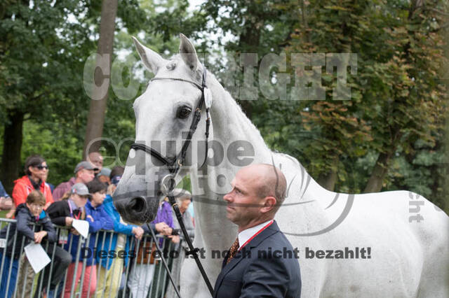 FEI European Championship Eventing 2017