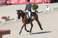 FEI European Championship Eventing 2017