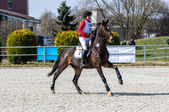 Eventing Langenfeld