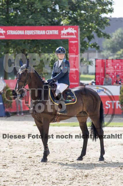 FEI European Championship