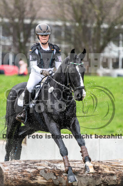 Goldene Schärpe 2020 - Pferde