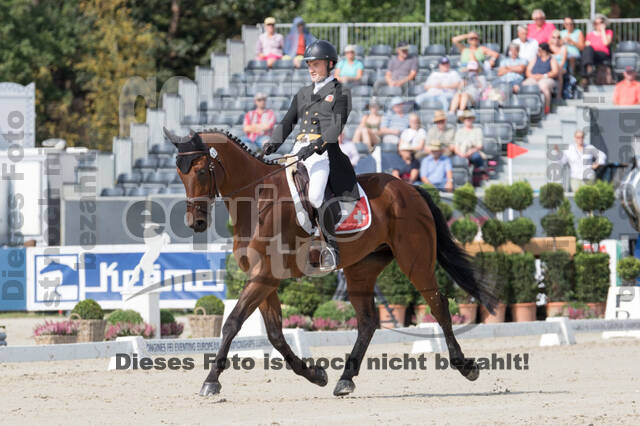 FEI European Championship Eventing 2019