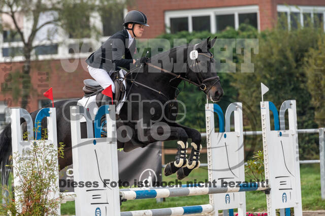 Goldene Schärpe 2020 - Pferde