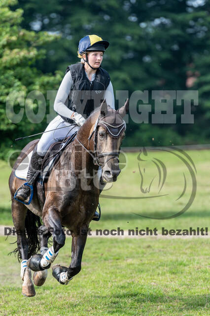 Goldene Schärpe 2021 - Ponys