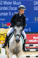 Goldene Schärpe 2021 - Ponys