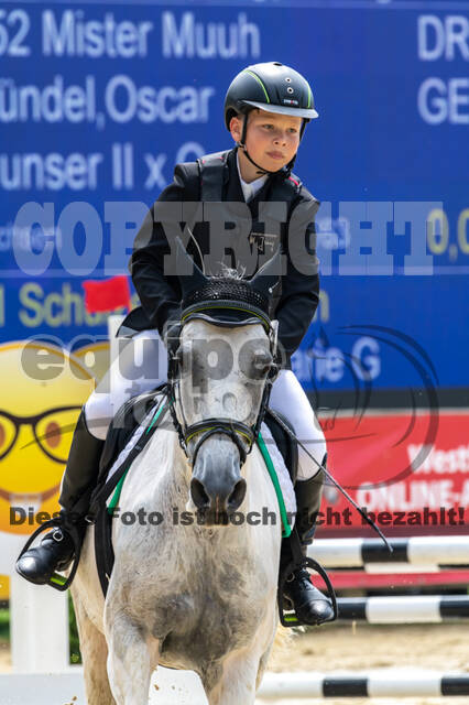 Goldene Schärpe 2021 - Ponys