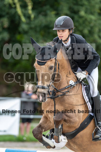 Late-Entry-Vielseitigkeit Langenfeld (06.+07.07.2020)