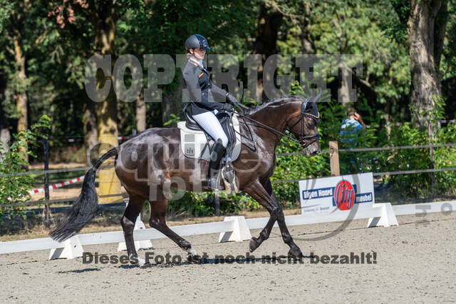 Kronenberg - De Peelbergen (August 2020)