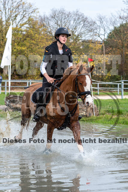 IGV Lehrgang der Sieger der Cups mit Frank Ostholt