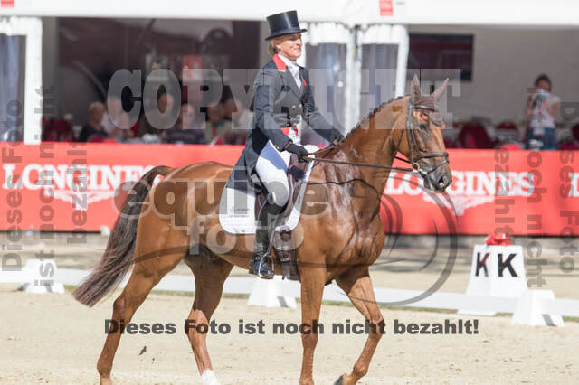 FEI European Championship Eventing 2017