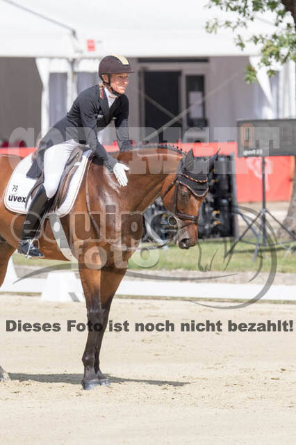 FEI European Championship Eventing 2017