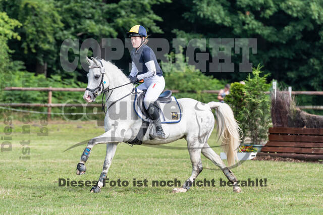 Goldene Schärpe 2021 - Ponys