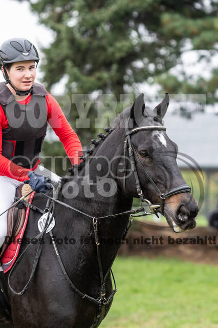 Goldene Schärpe 2020 - Pferde