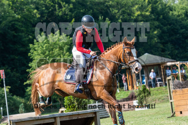Goldene Schärpe 2021 - Ponys