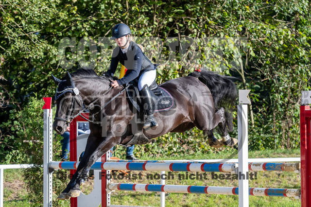 RFV Dinslaken-Hiesfeld (Herbstturnier)