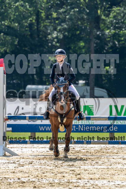 Goldene Schärpe 2021 - Ponys