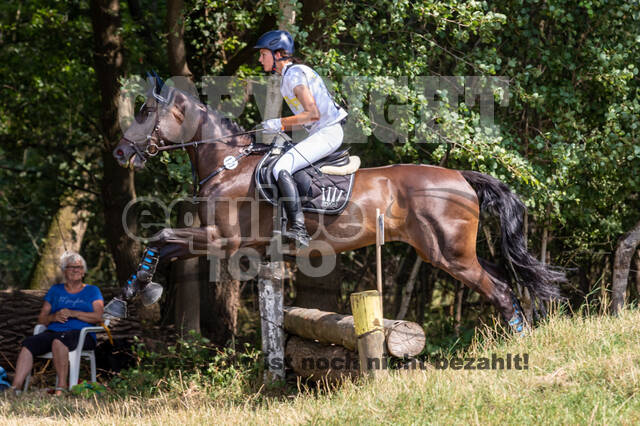 Late-Entry Vielseitigkeit Hamminkeln/Wesel (01.+02.08.2020)