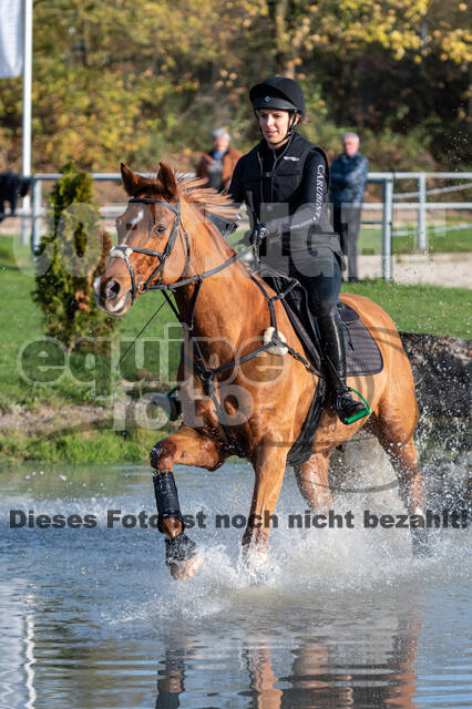 IGV Lehrgang der Sieger der Cups mit Frank Ostholt