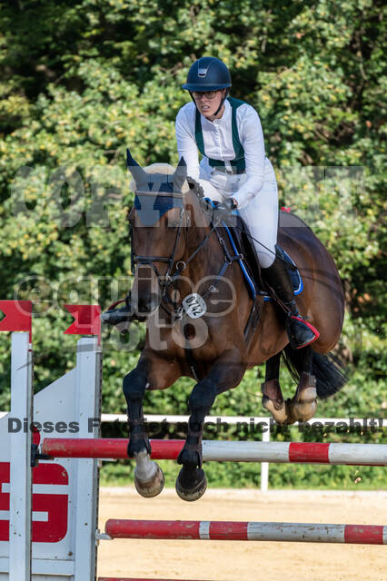 RFV Dinslaken-Hiesfeld (Herbstturnier)