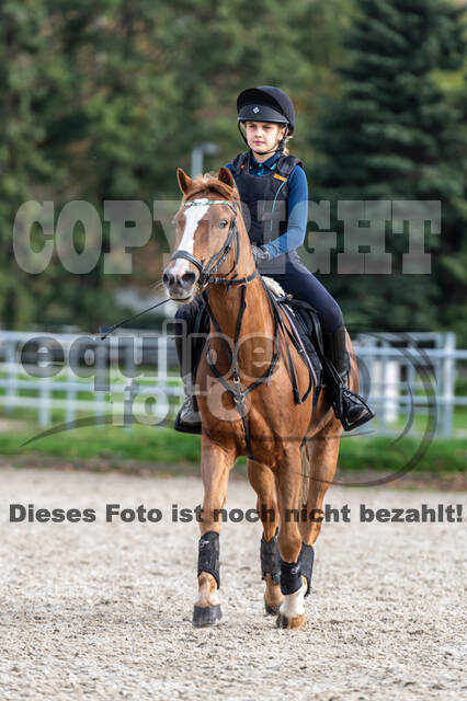 IGV Lehrgang der Sieger der Cups mit Frank Ostholt