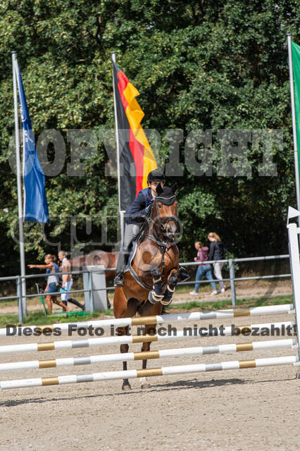 Landesturnier Rheinland, Vielseitigkeit, 22.+23.08.2020