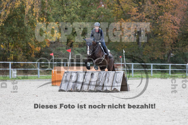 IGV Lehrgang der Sieger der Cups mit Frank Ostholt