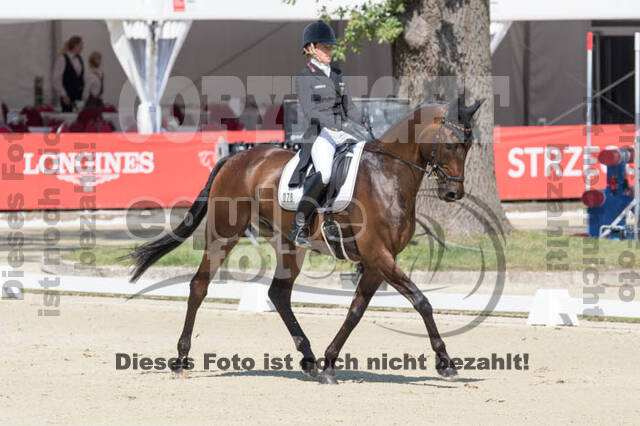 FEI European Championship Eventing 2017